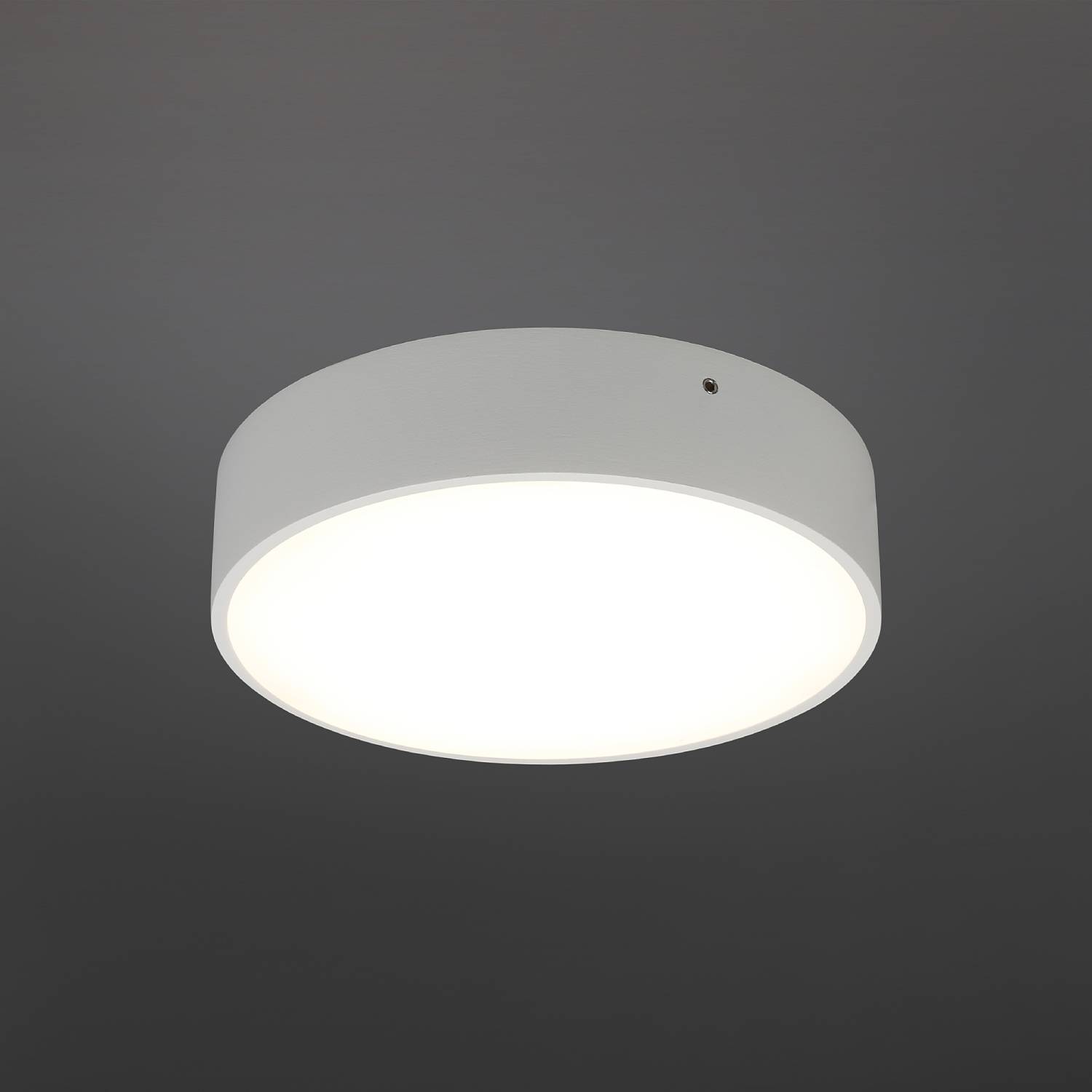 Светильник потолочный Aployt Evon APL.0114.09.18