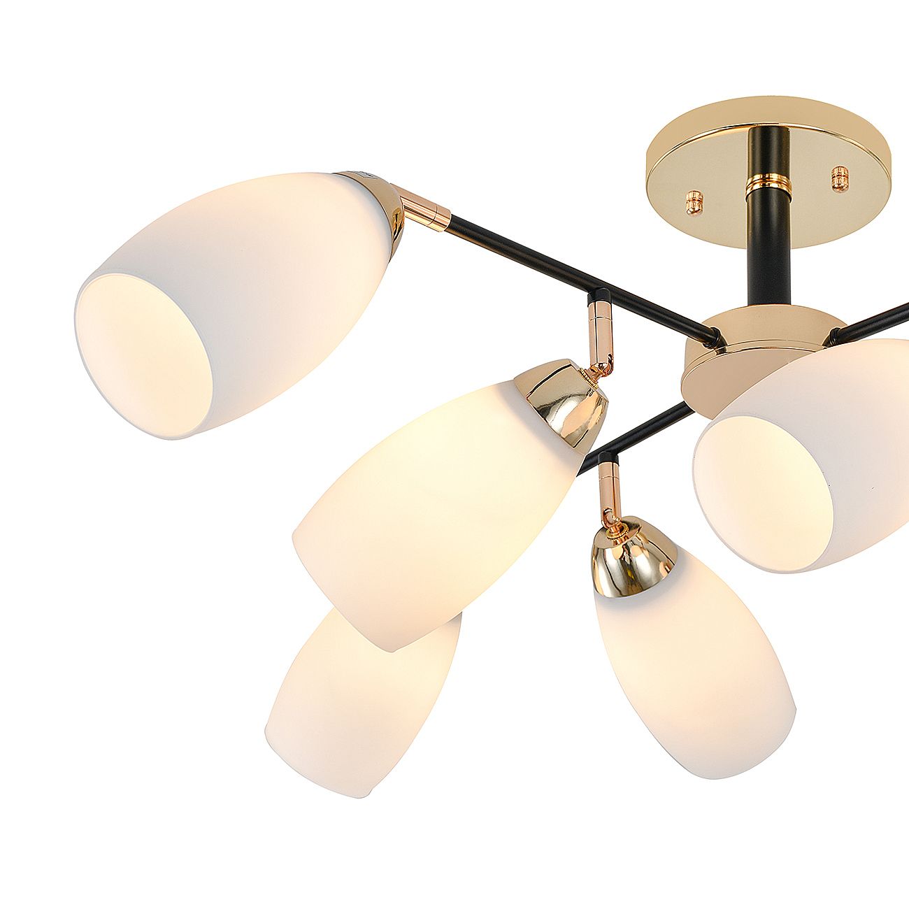 Потолочная люстра Escada Aucuba 643/8P