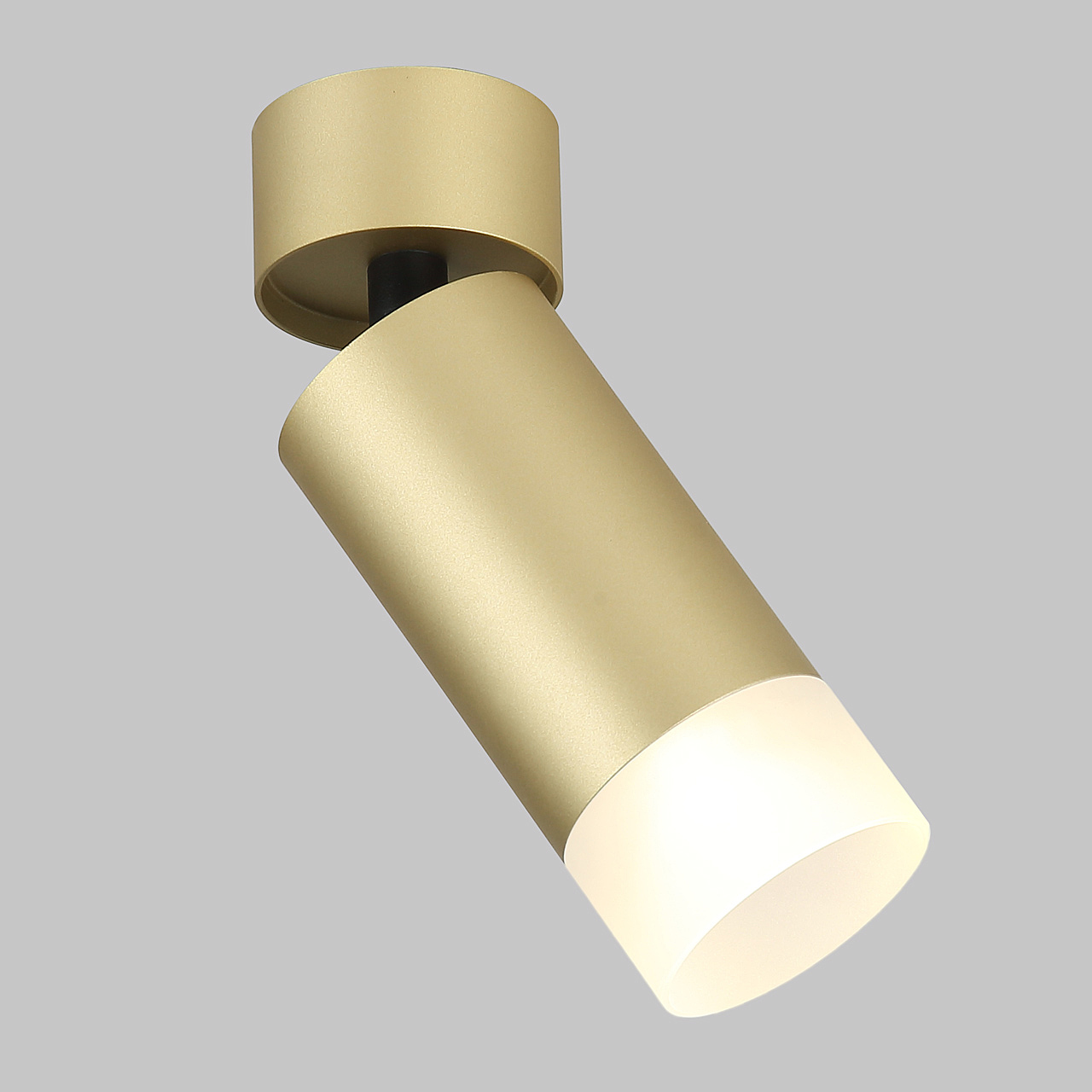 Светильник спот IMEX Leon Gu10 IL.0005.4801 MG