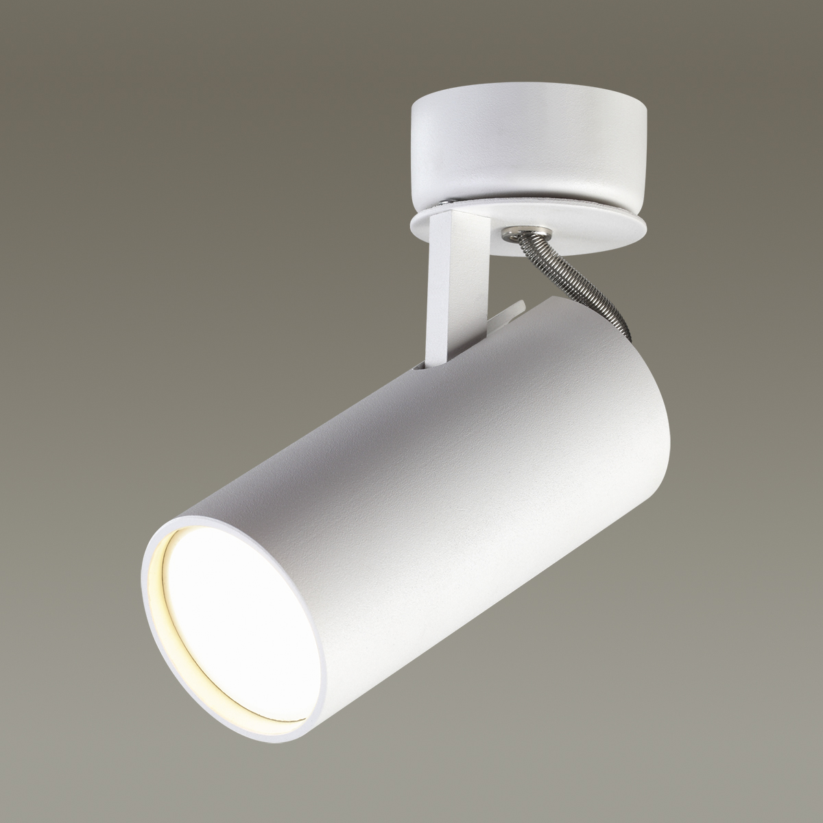 Светильник спот Odeon Light Corse 3873/1C Светильник спот Odeon Light Corse 3873/1C