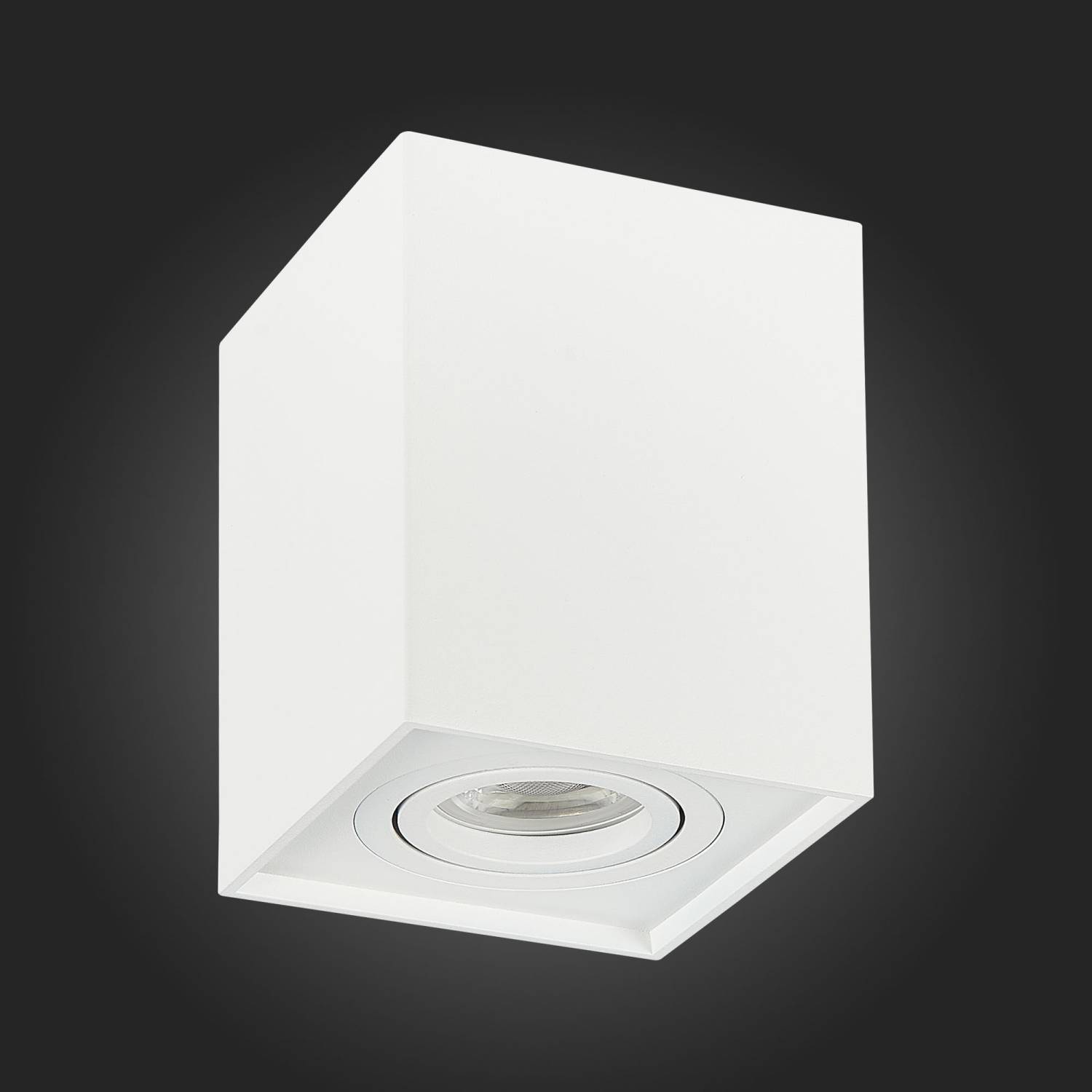Накладной светильник ST Luce Quadrus ST109.507.01