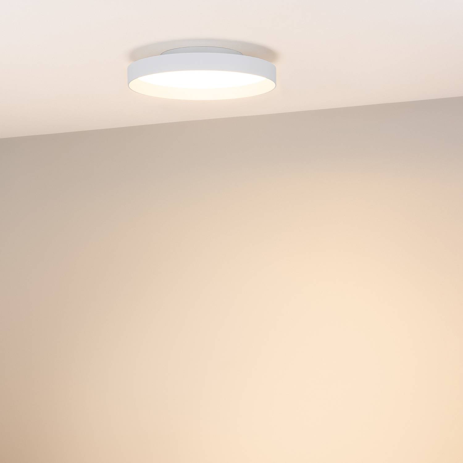 Светильник потолочный Arlight Estely 055366