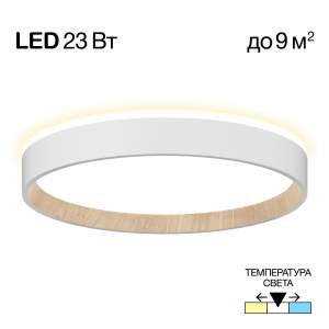 Светильник потолочный Citilux Etalon CL750240