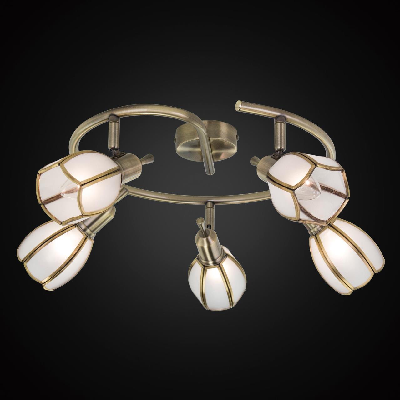 Потолочная люстра Citilux Альтен-2 CL522651