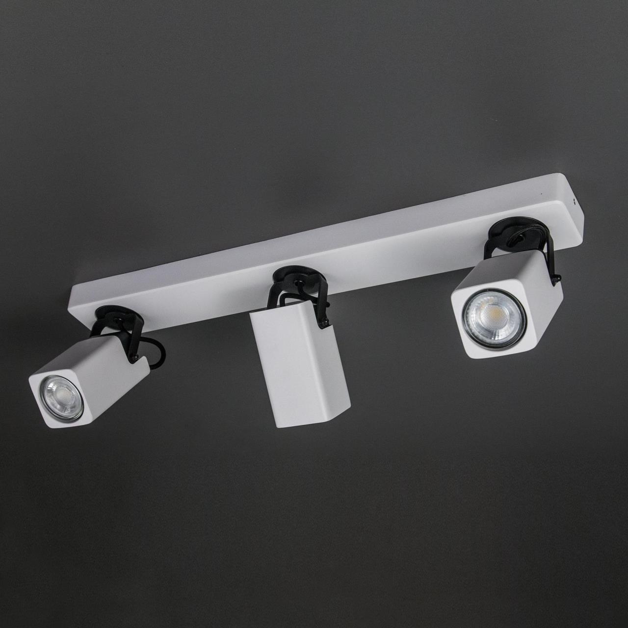 Светильник спот Citilux Норман CL533630