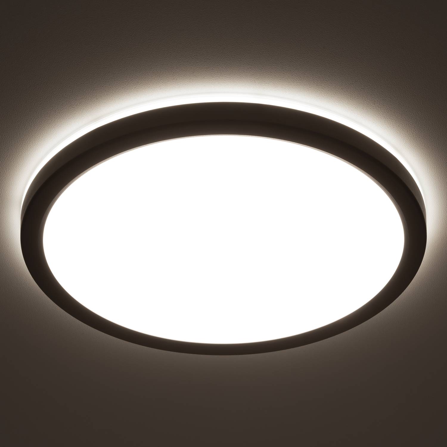 Светильник потолочный Citilux Basic Line CL738241VL