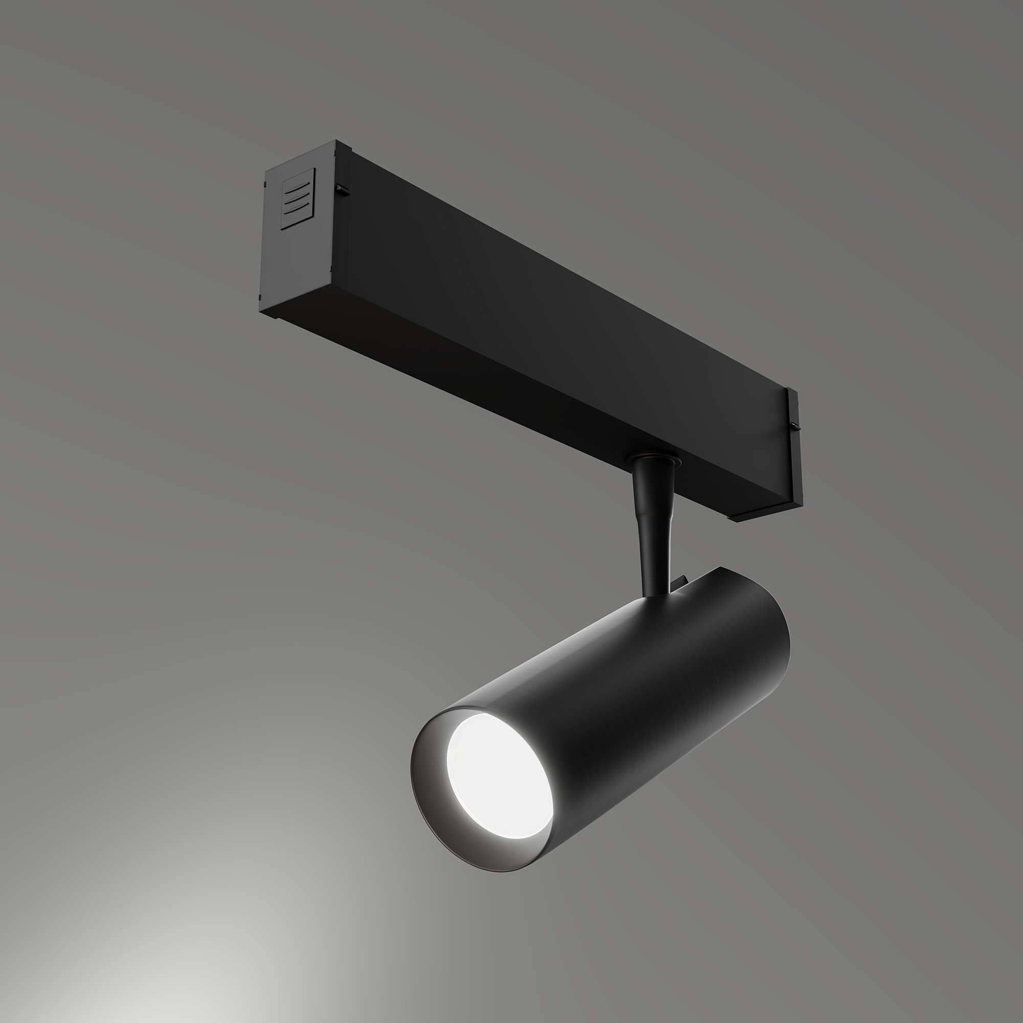 Трековый светильник LIGHTERA Startrek 220 LE168TRS-20B