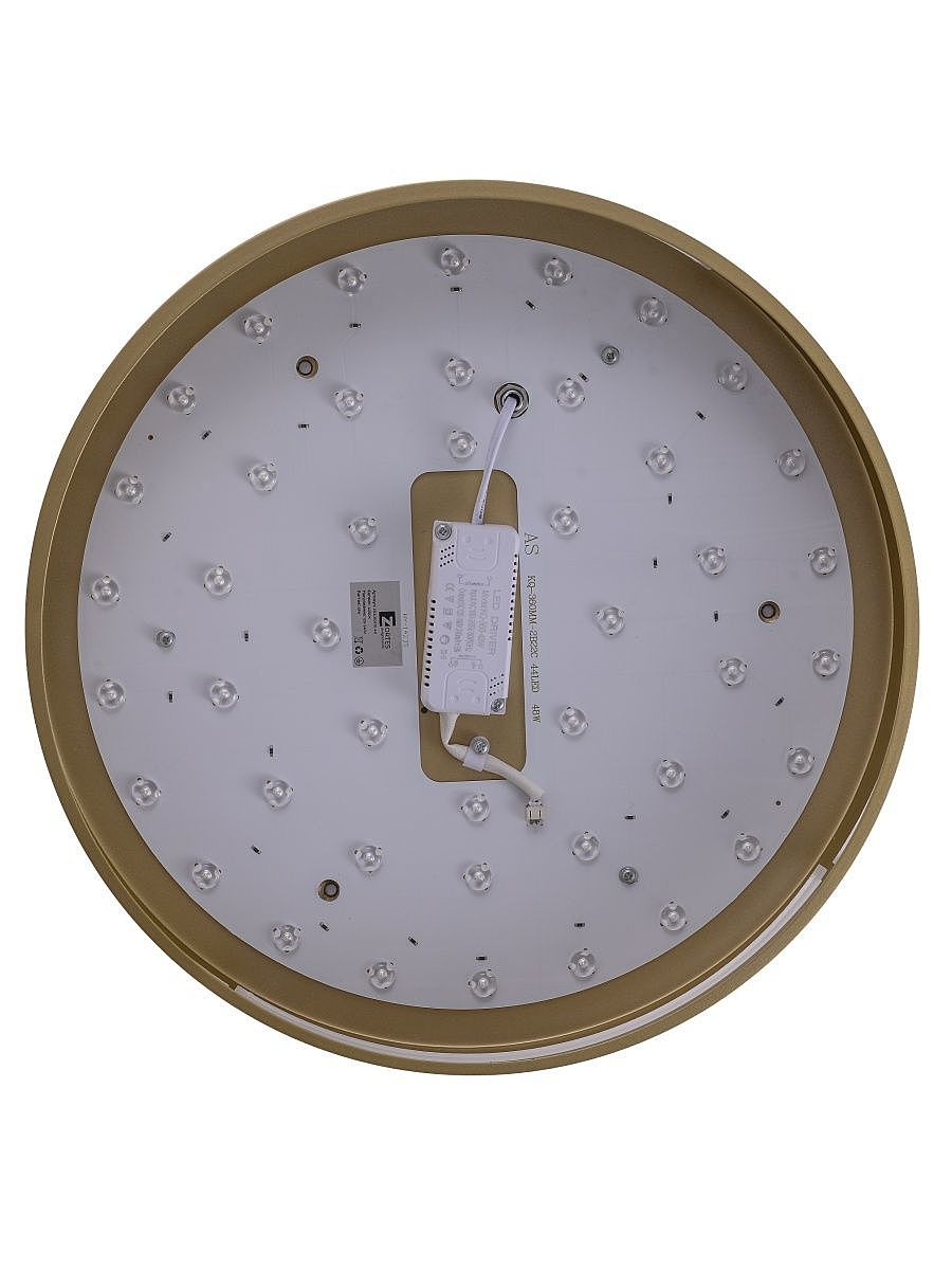 Светильник потолочный Zortes Gabby ZRS.90610.40