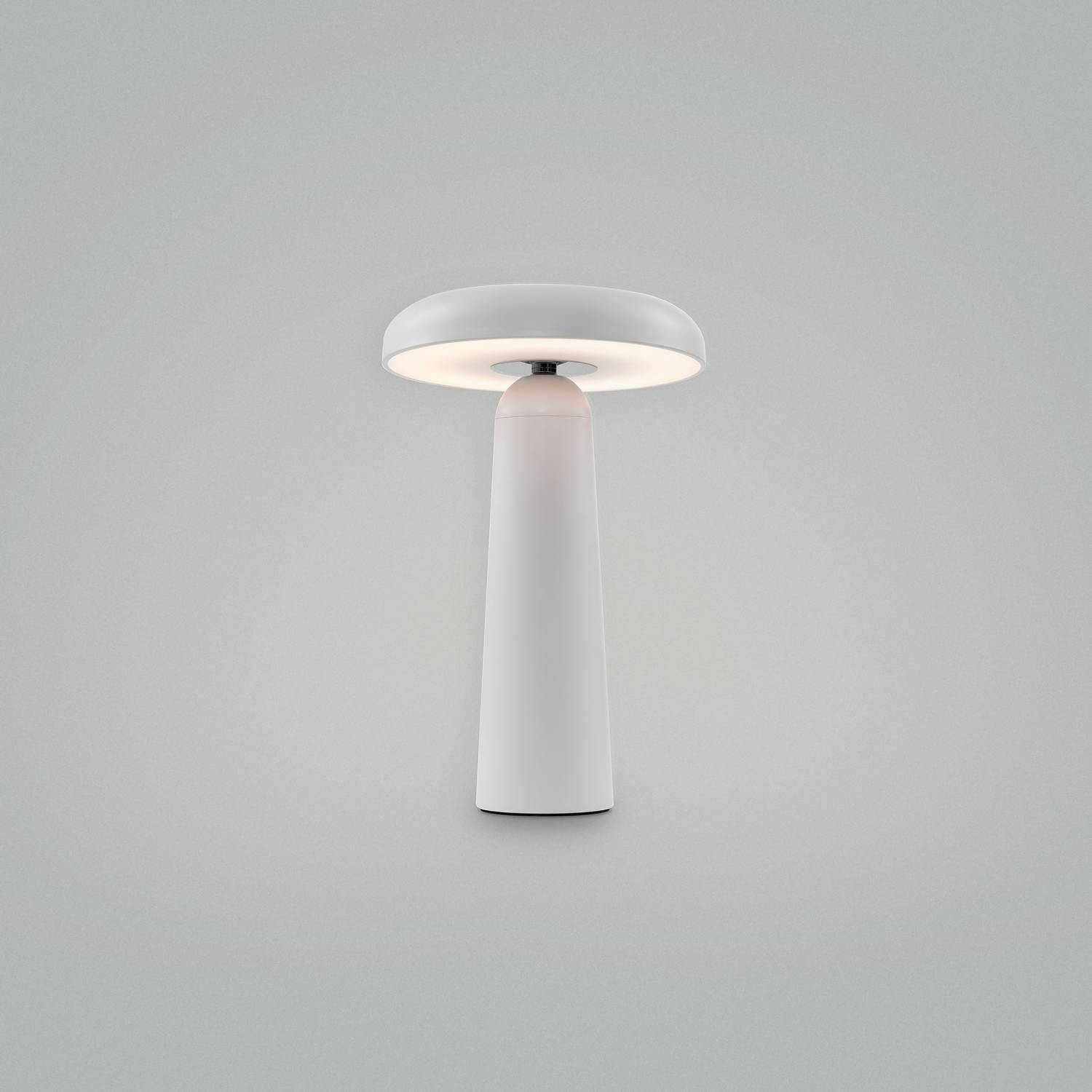 Настольная лампа Freya Mushroom FR6109TL-L4W