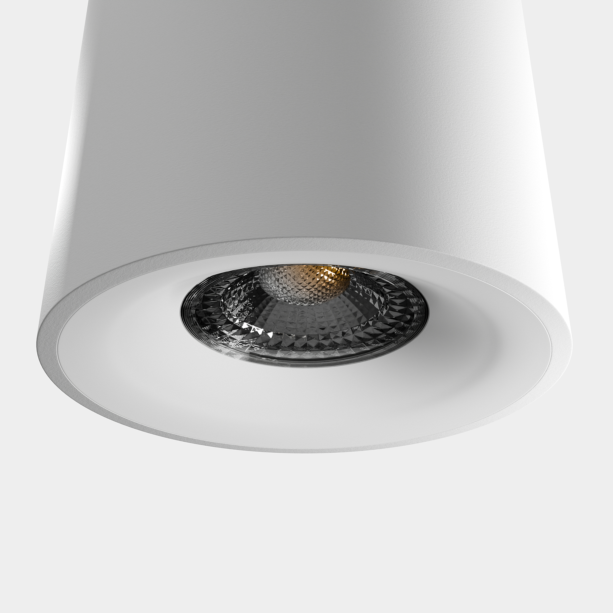 Накладной светильник LIGHTERA Shamrock LE201CL-1WB Накладной светильник LIGHTERA Shamrock LE201CL-1WB