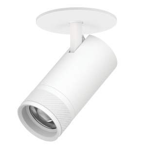 Встраиваемый светильник Lightstar Canno Pro C4306RS