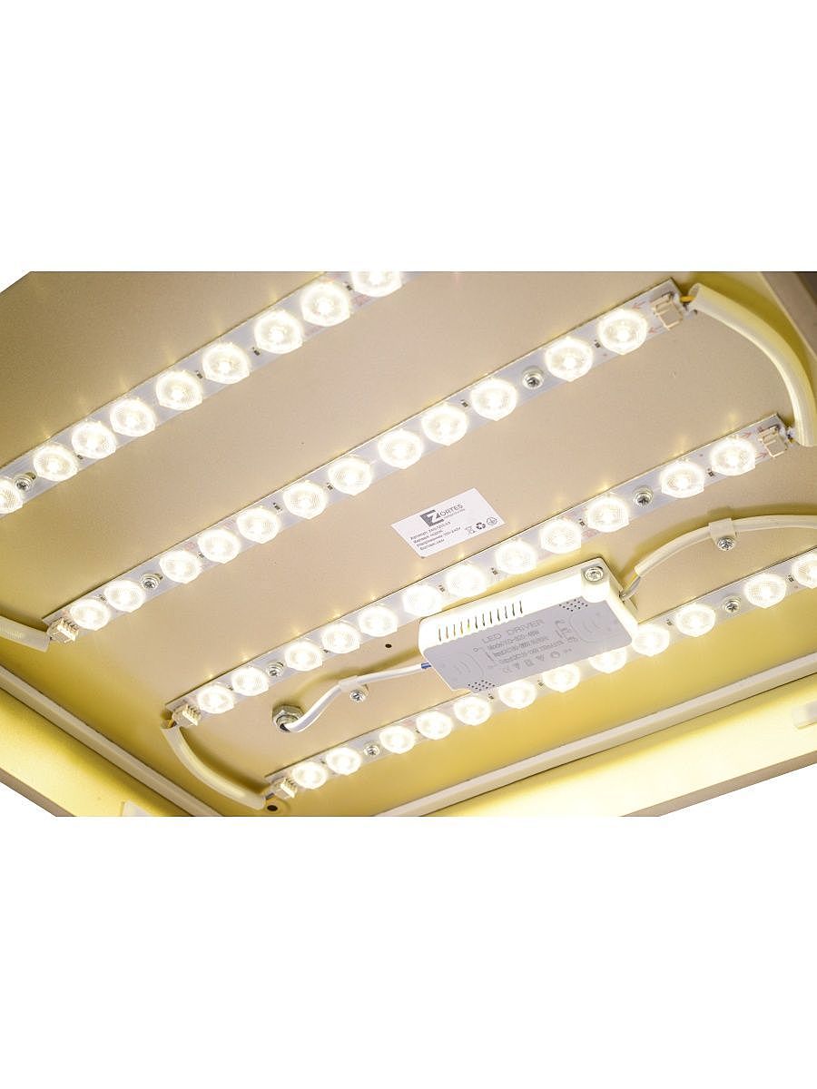 Светильник потолочный Zortes Gabby ZRS.1215.03