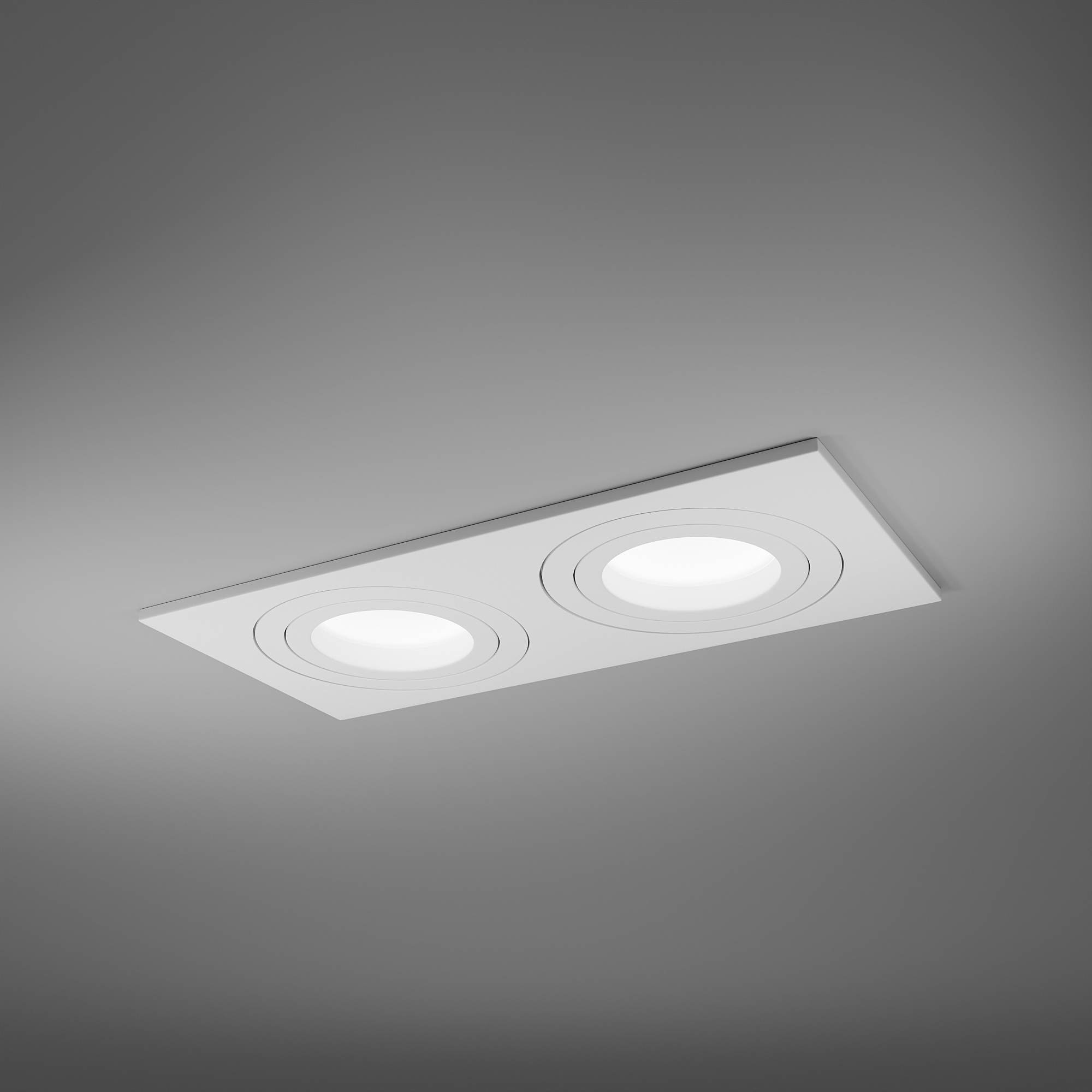 Встраиваемый светильник LIGHTERA Moon LE204RL-2W