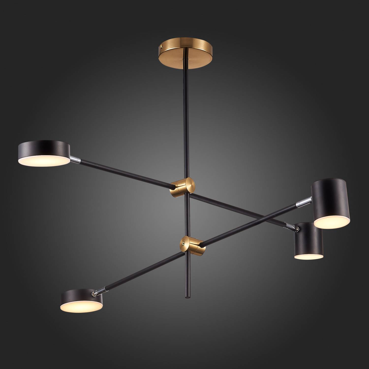 Потолочная люстра ST Luce Rodrigo SL1604.432.04 Потолочная люстра ST Luce Rodrigo SL1604.432.04