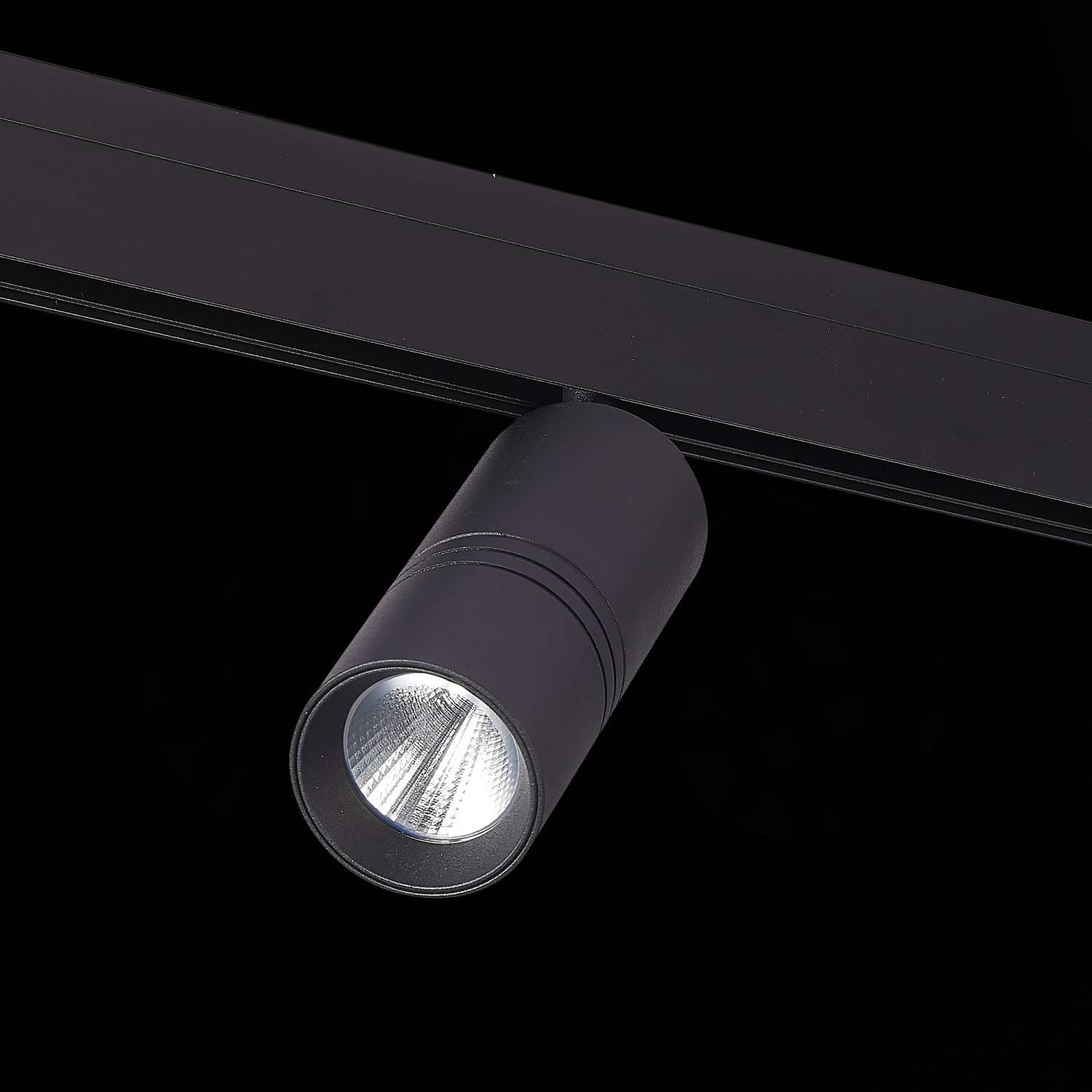 Трековый светильник ST Luce Skyline 48 ST365.446.20