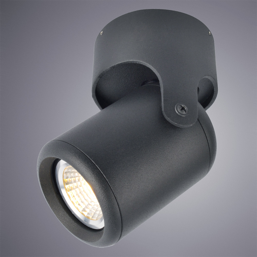 Накладной светильник Arte Lamp Libra A3316PL-1BK