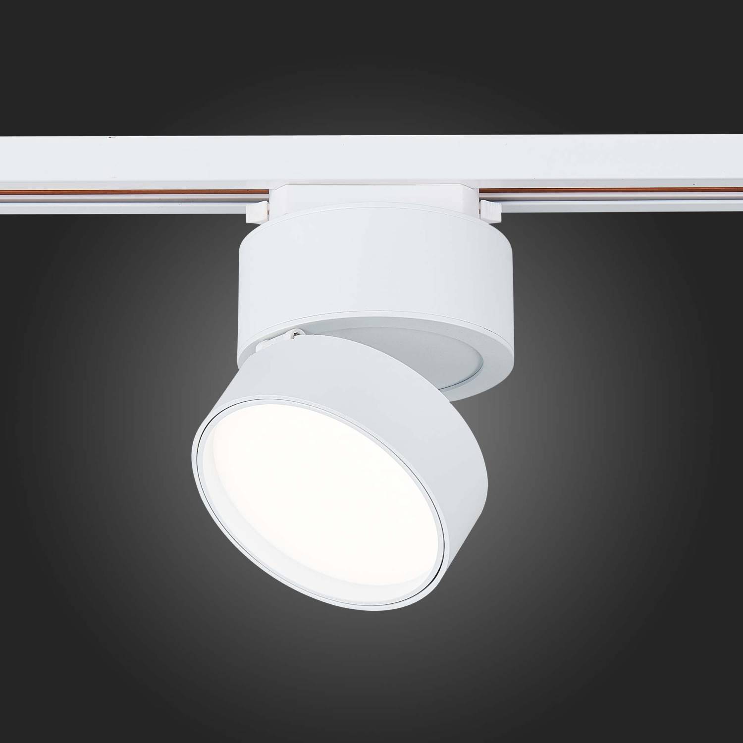 Трековый светильник ST Luce ST651 ST651.546.14 Трековый светильник ST Luce ST651 ST651.546.14