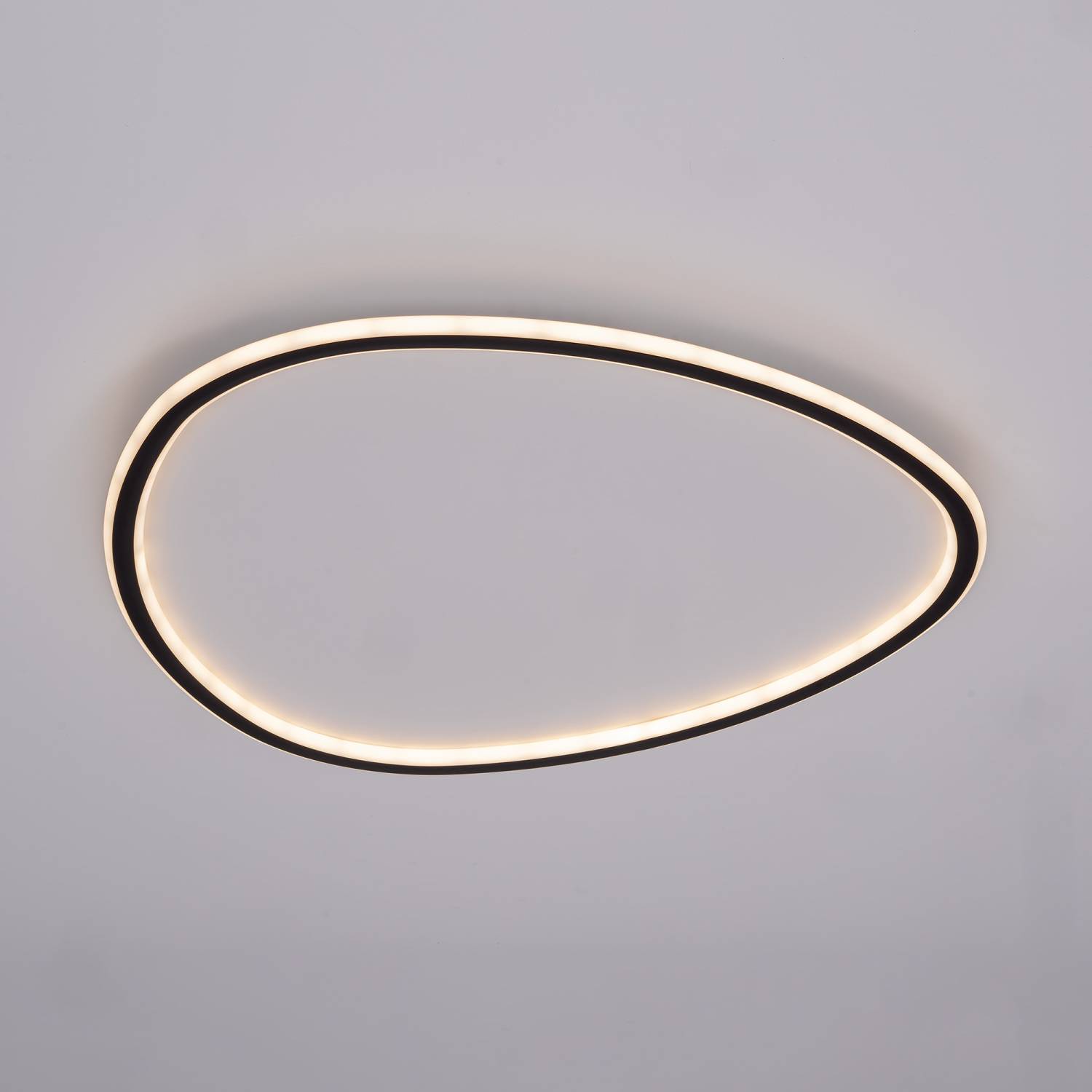 Потолочная люстра Citilux Тrio CL215B261E