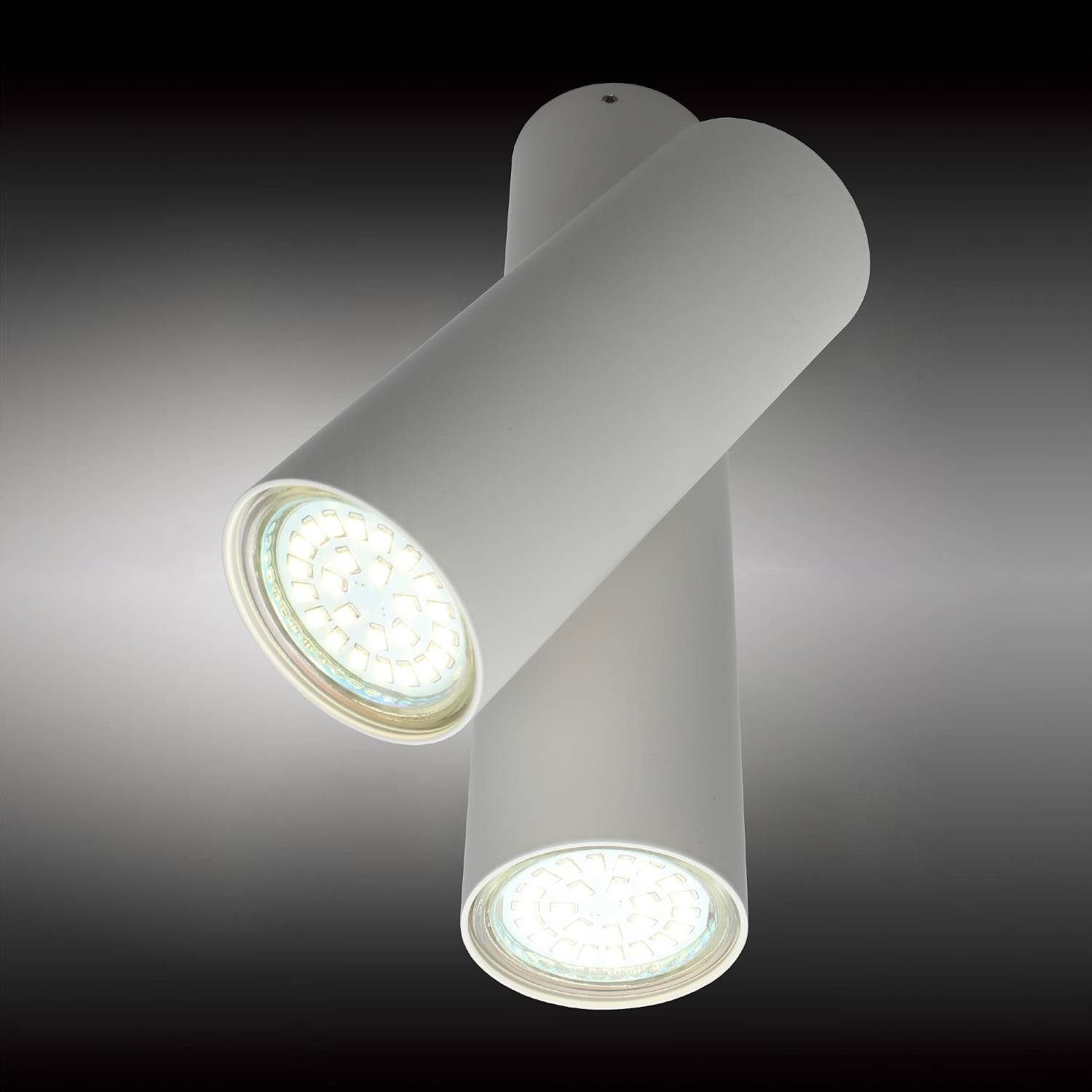 Светильник спот Aployt Aksel APL.006.02.02