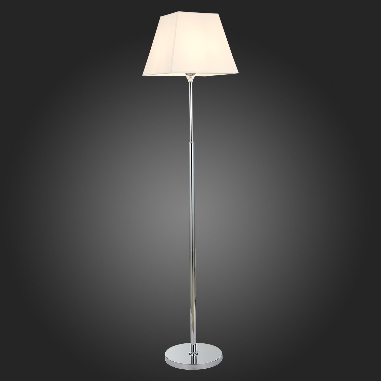 Торшер Evoluce Manila SLE107505-01