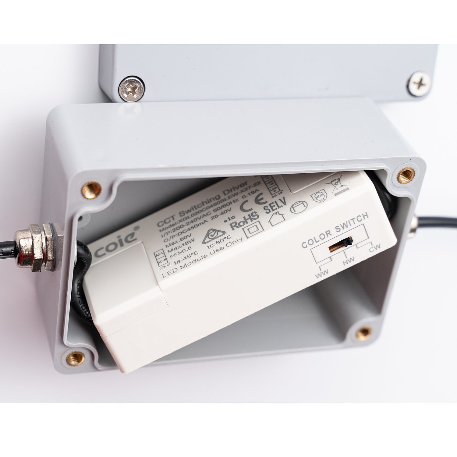 Уличный потолочный светильник Favourite Riga 4862-2U