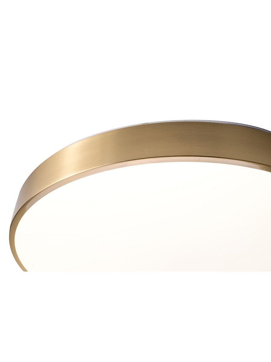 Светильник потолочный Zortes Monna ZRS.1209.12