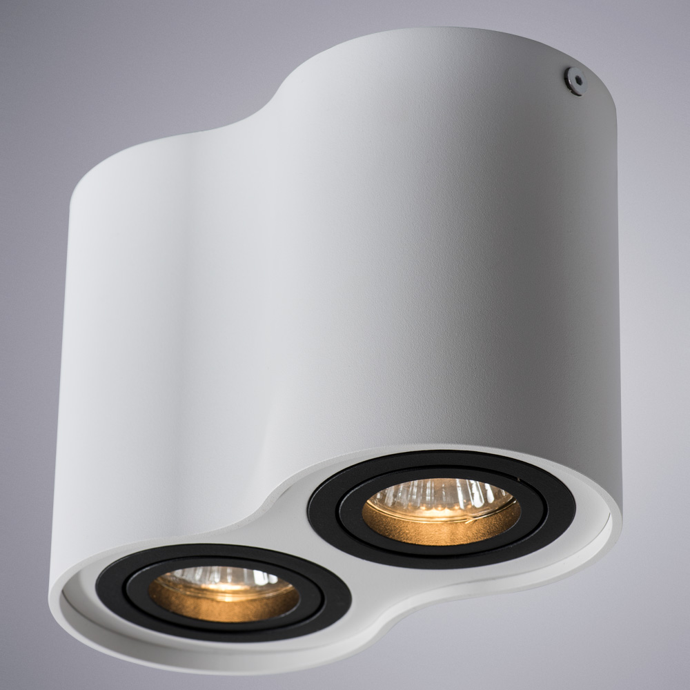 Накладной светильник Arte Lamp Falcon A5644PL-2WH