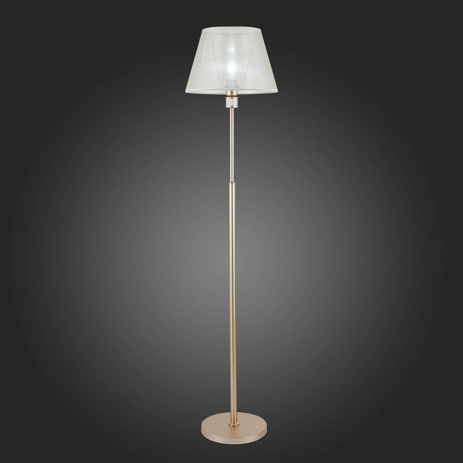 Торшер Evoluce Manila SLE107505-01