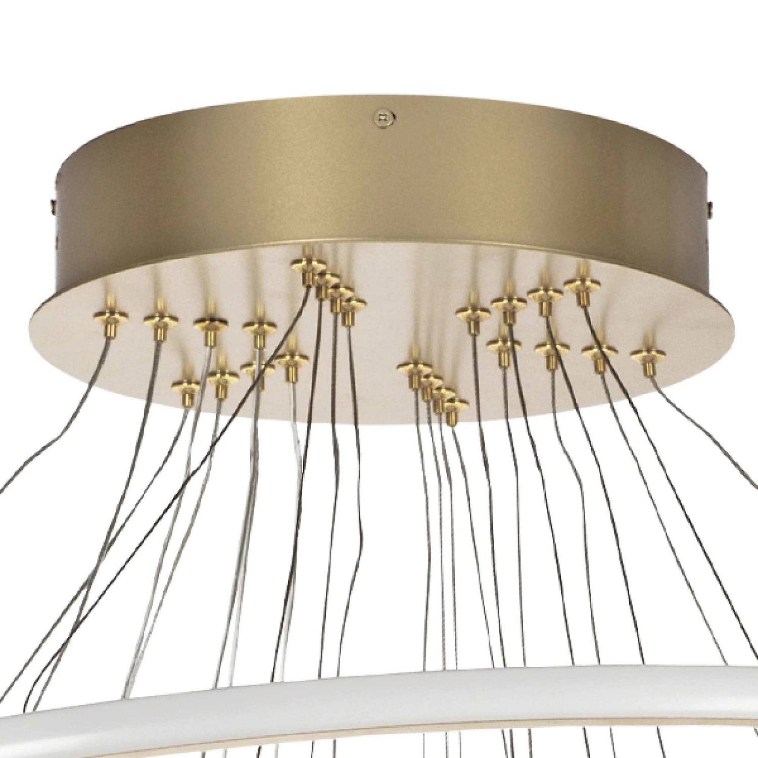 Подвесная люстра Lightstar Rotonda 736483