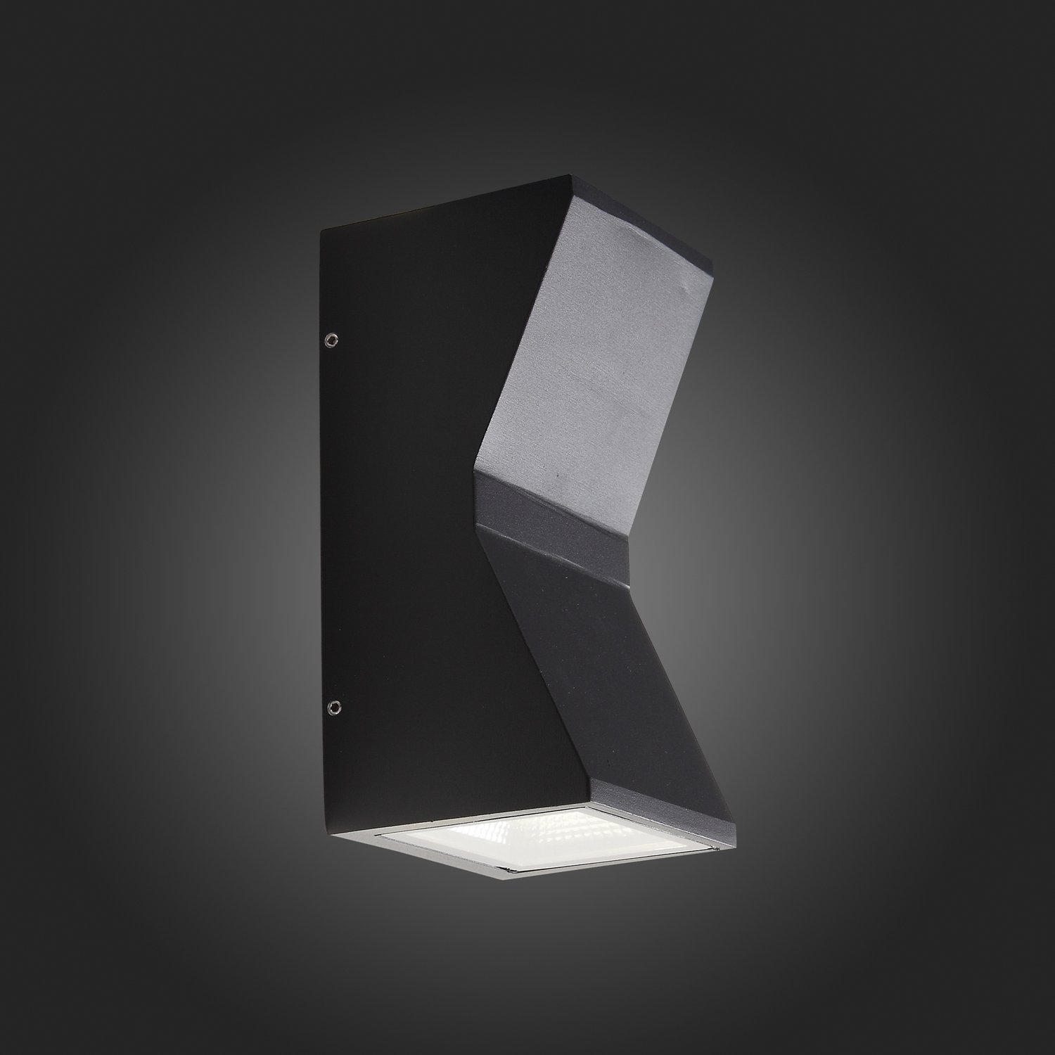 Уличный LED настенный светильник ST Luce SL088 SL088.431.02