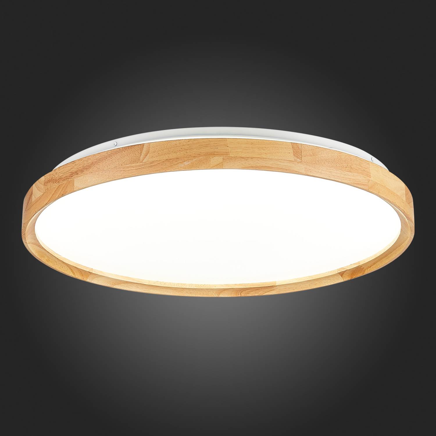 Светильник потолочный Evoluce Delia SLE201382-01
