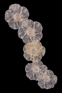 Настенный светильник LEON Violetta LE3018/5W GD