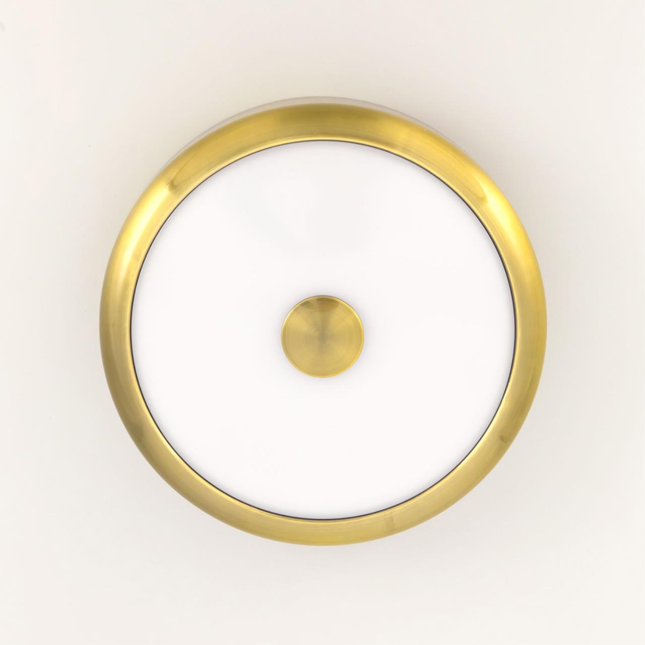 Потолочный светодиодный светильник Citilux Фостер-1 CL706112