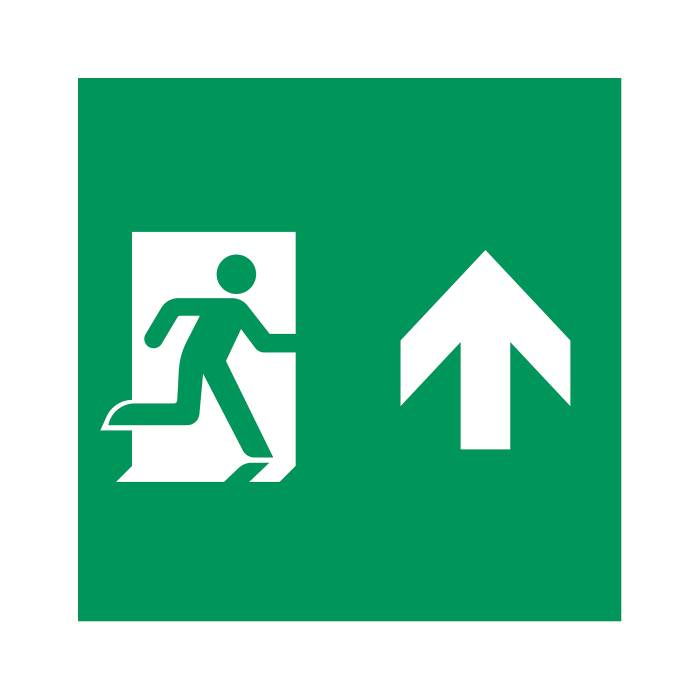 Сменная пиктограмма для аварийных панелей MARK Arlight Emg-Mark 059834