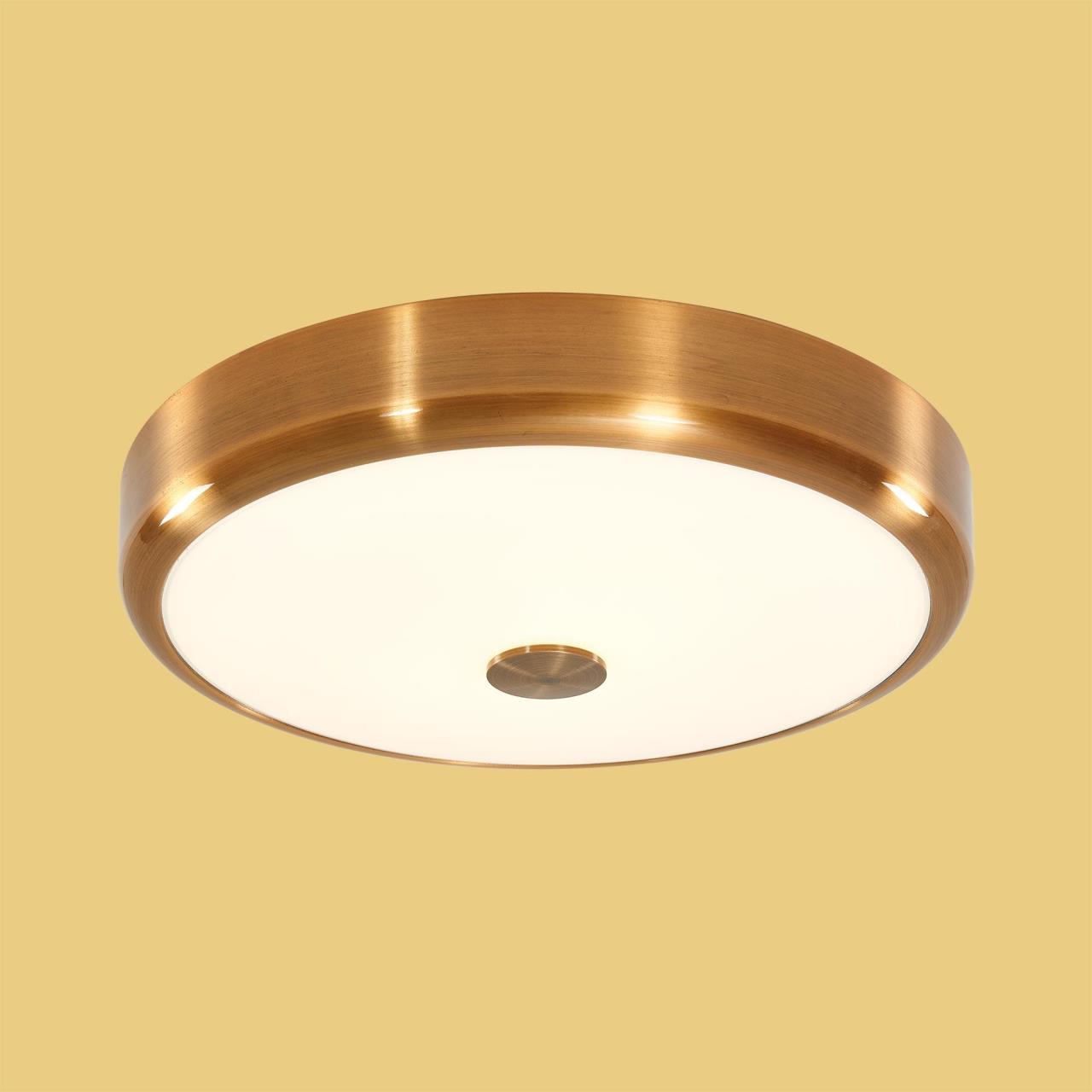 Потолочный светодиодный светильник Citilux Фостер-1 CL706132