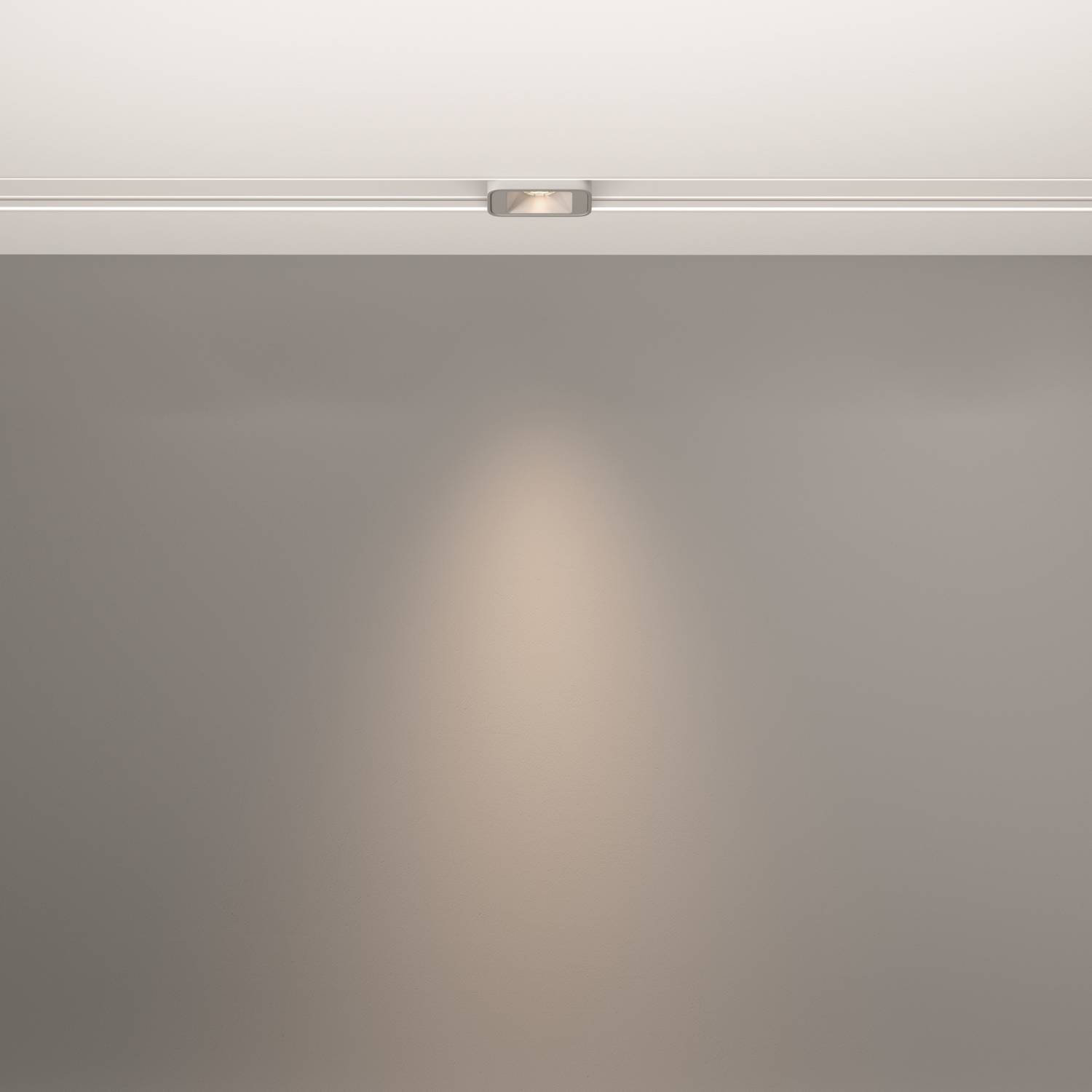 Трековый светильник Maytoni Points S Exility TR100-2-2W4K-S-W