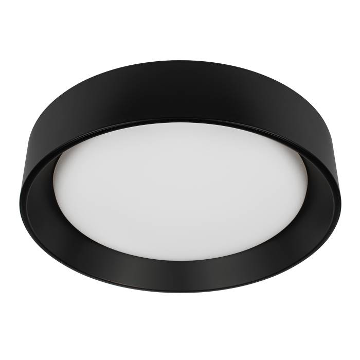 Светильник потолочный Loft It Coin 10202 BB