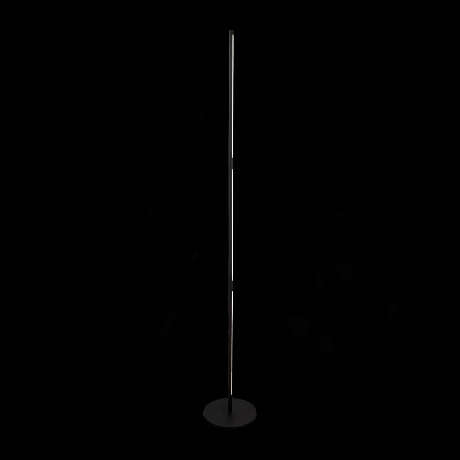 Торшер ST Luce Ralio SL1580.405.01 Торшер ST Luce Ralio SL1580.405.01