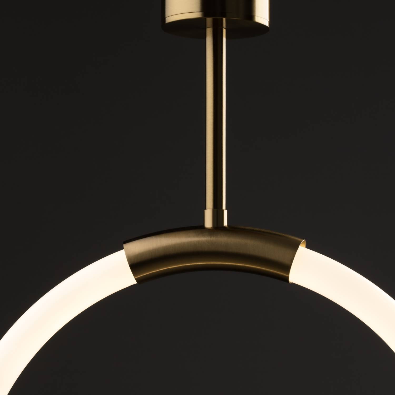 Светильник подвесной Freya Pina FR5387PL-L14BS