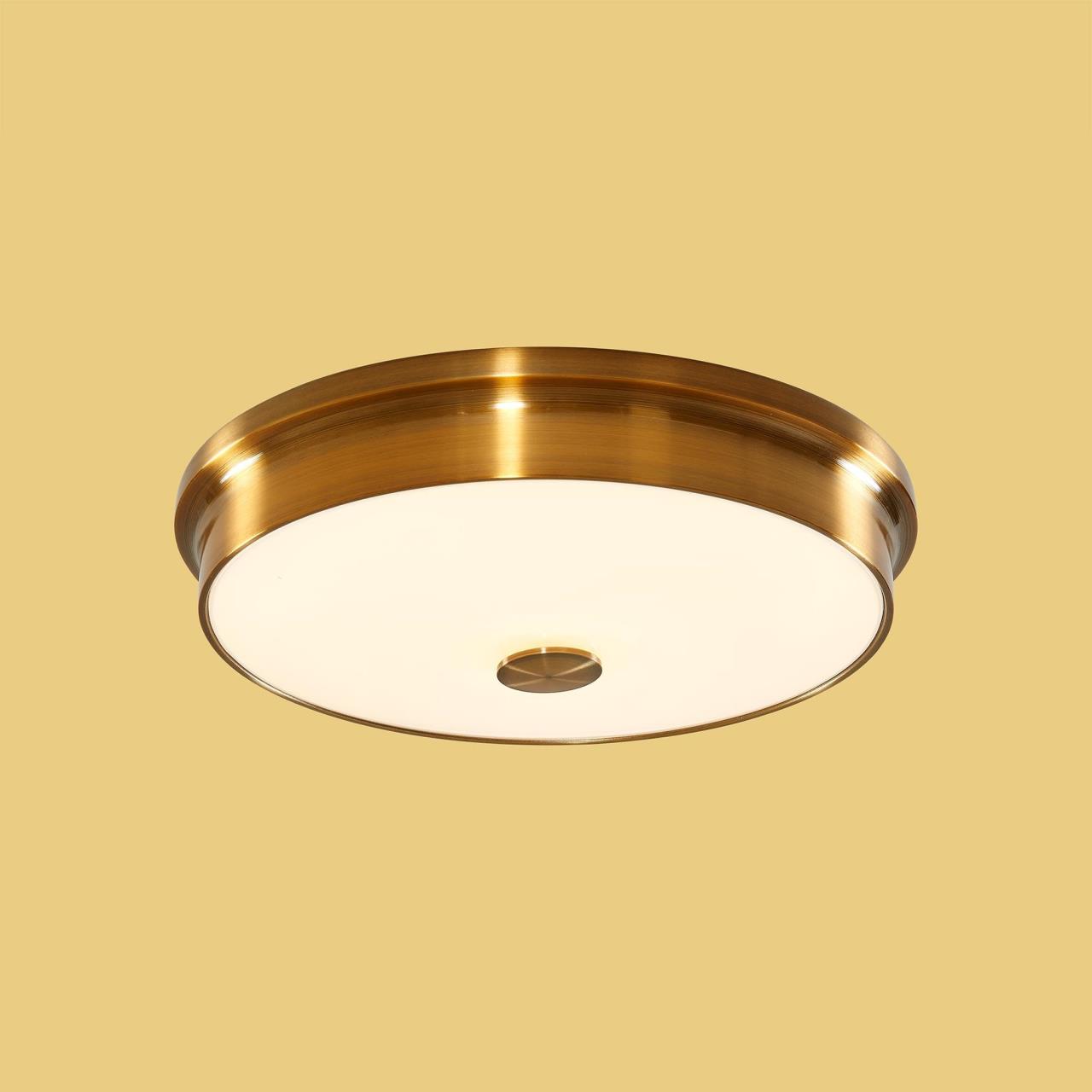 Потолочный светодиодный светильник Citilux Фостер-2 CL706232