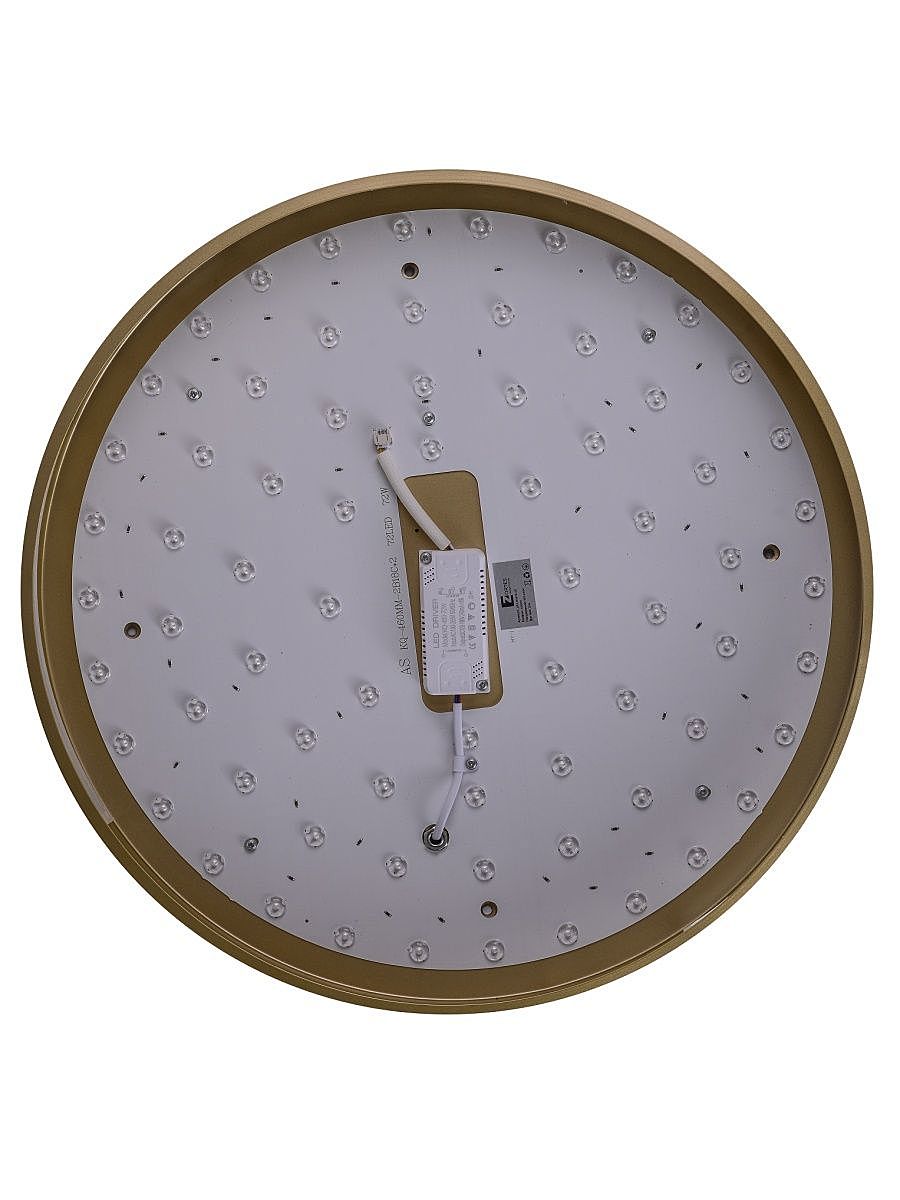 Светильник потолочный Zortes Gabby ZRS.90610.50