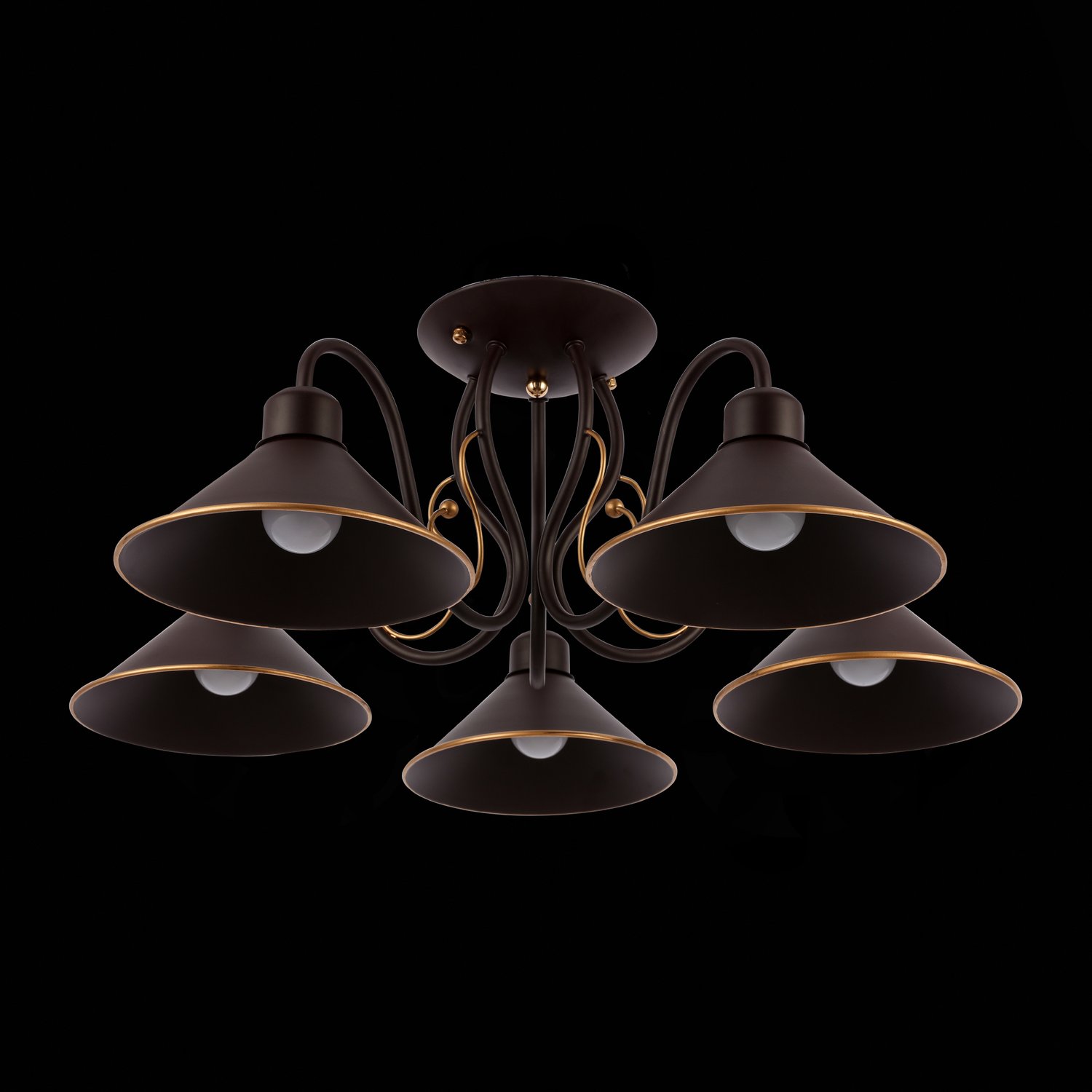 Потолочная люстра Evoluce Ciolla SLE120402-05 Потолочная люстра Evoluce Ciolla SLE120402-05