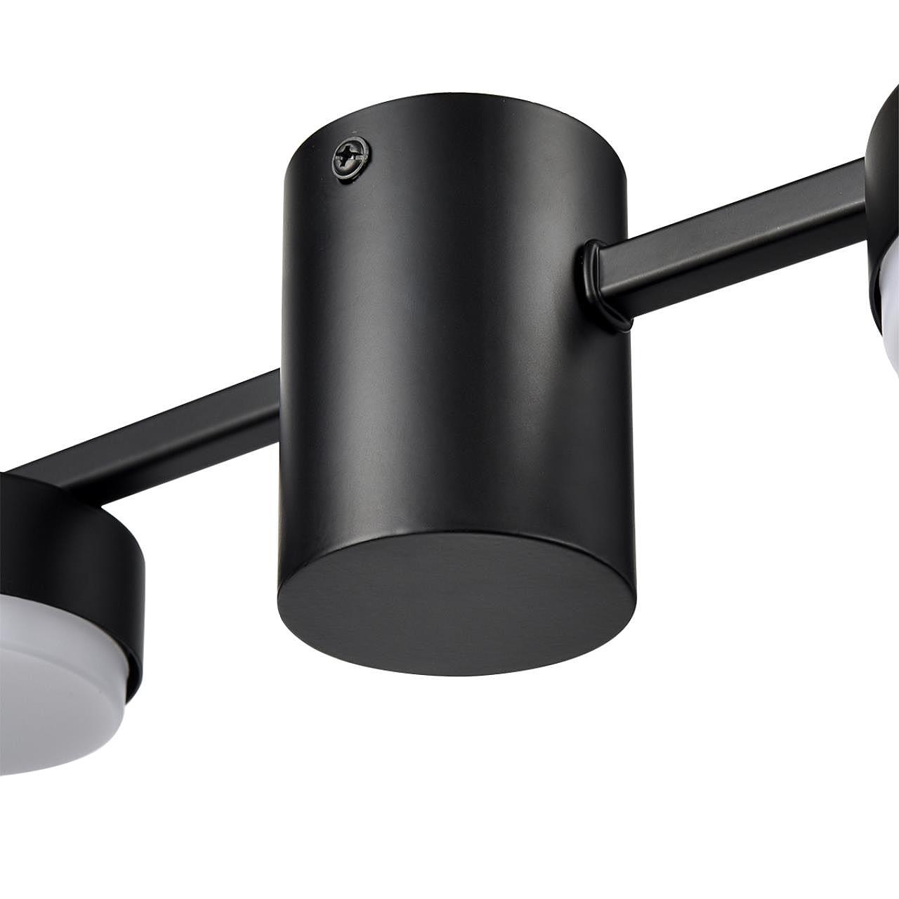 Потолочная люстра Lumion Sanata 8187/6C Потолочная люстра Lumion Sanata 8187/6C