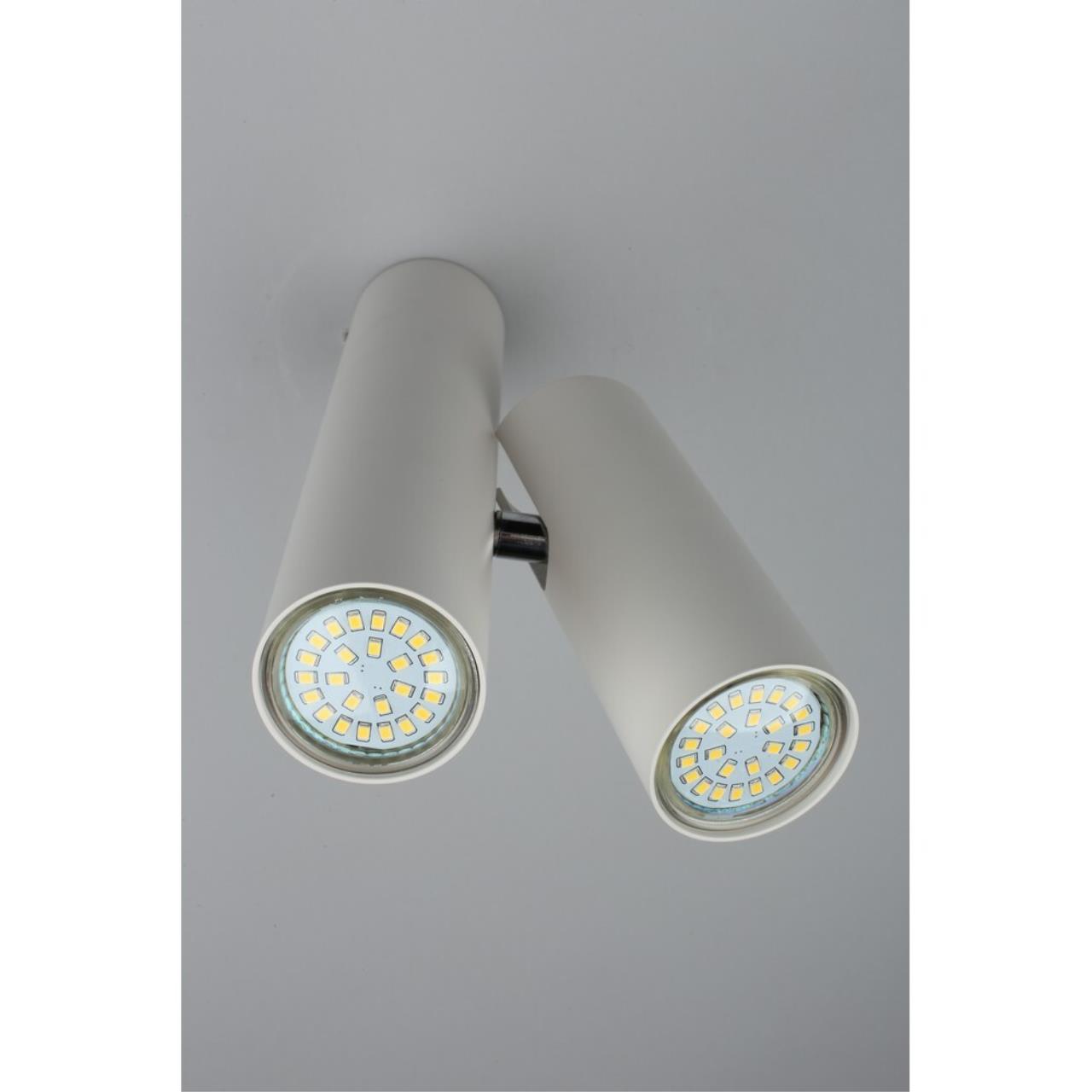 Светильник спот Aployt Aksel APL.006.02.02