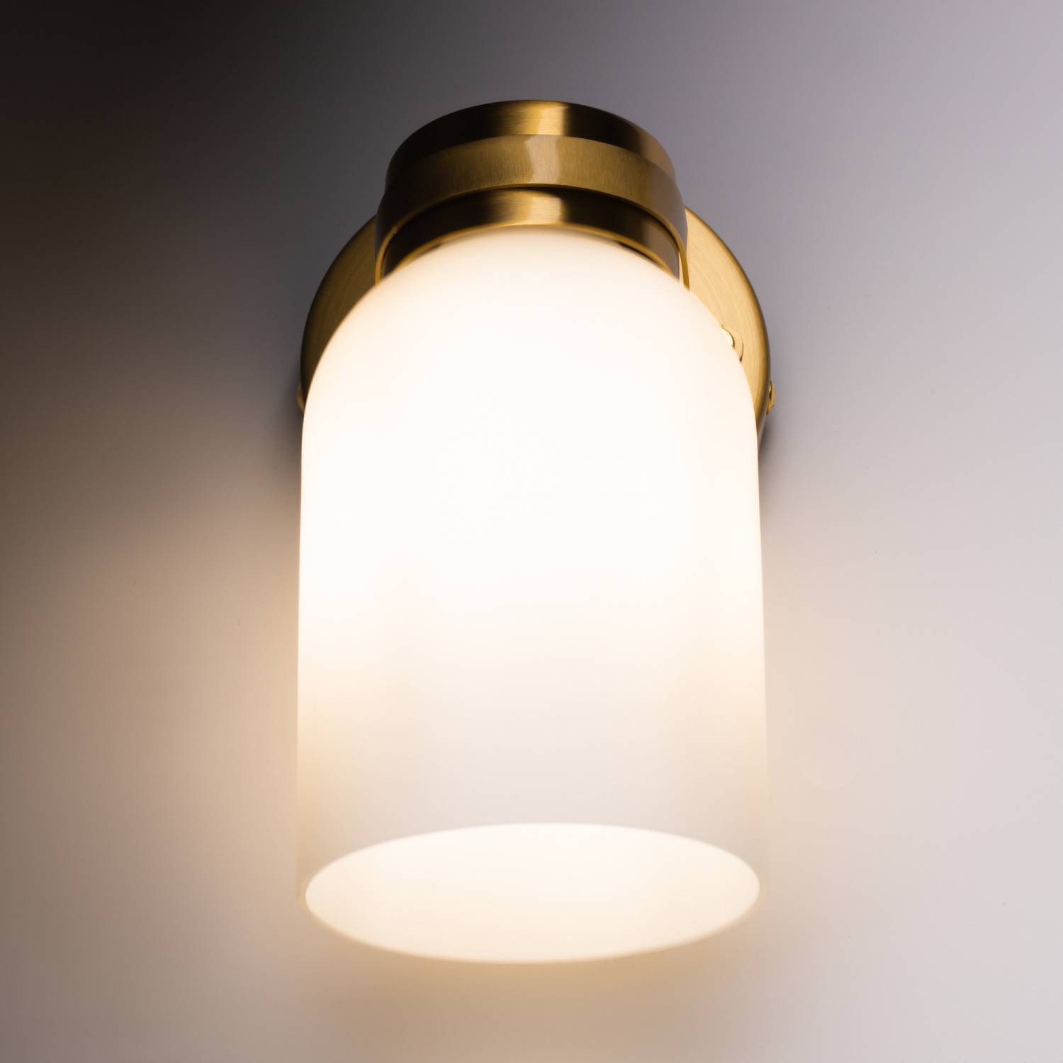 Настенное бра Freya Kamelia FR5446WL-01BS