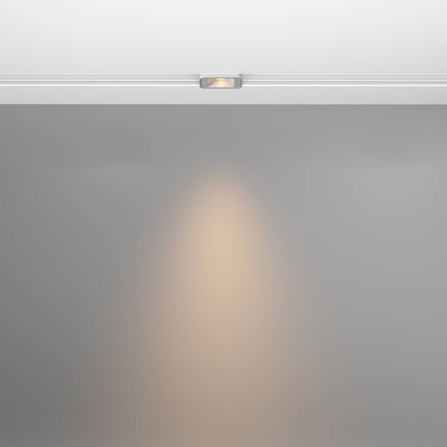 Трековый светильник Maytoni Points S Exility TR100-2-2W3K-S-W