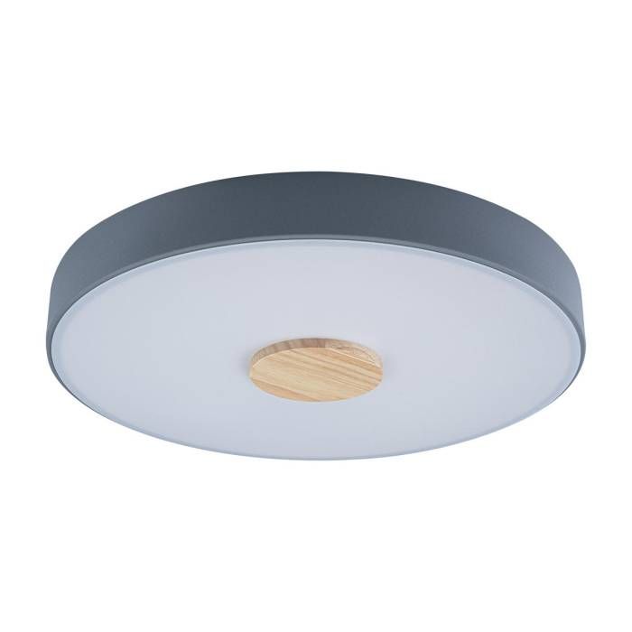 Светильник потолочный Loft It Axel 10003/24 Grey Светильник потолочный Loft It Axel 10003/24 Grey