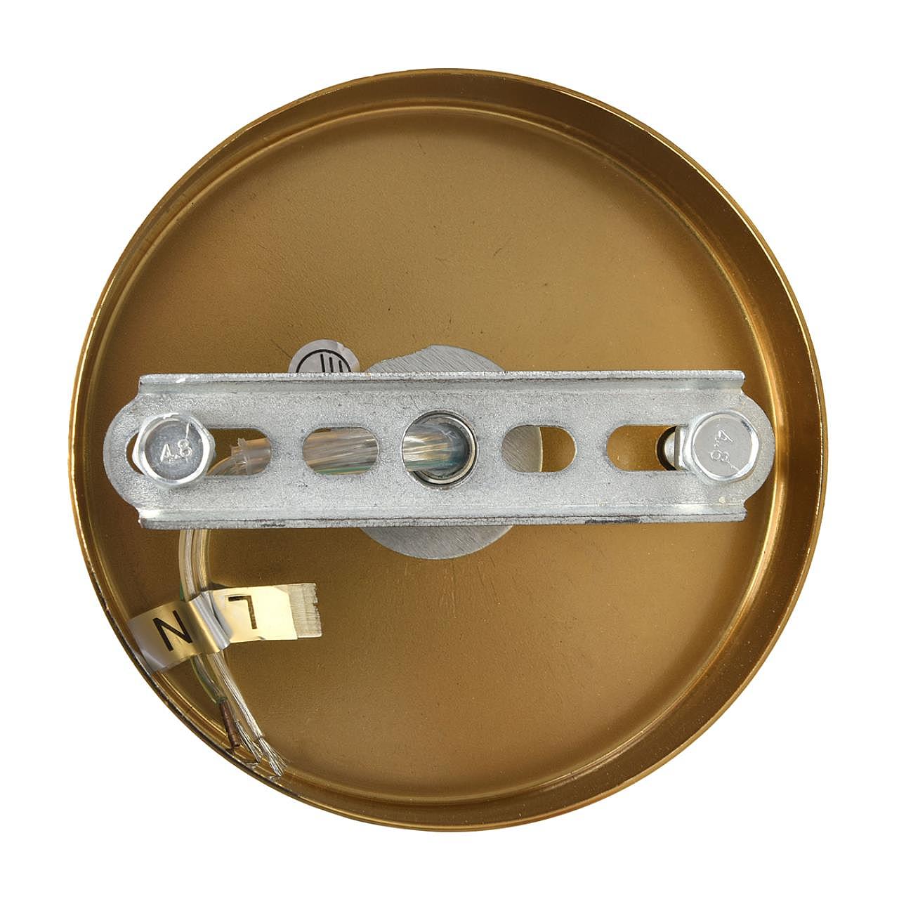 Подвесная люстра Lumion Chipsy 8320/8