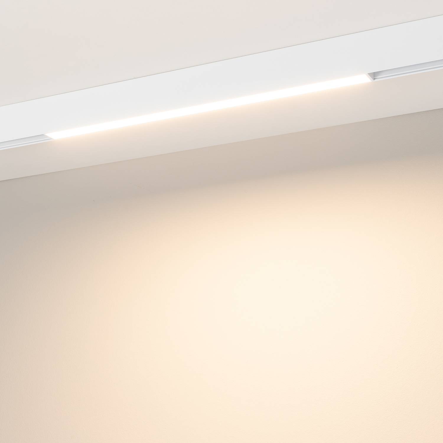 Трековый светильник Arlight Mag-Orient 035843(1)