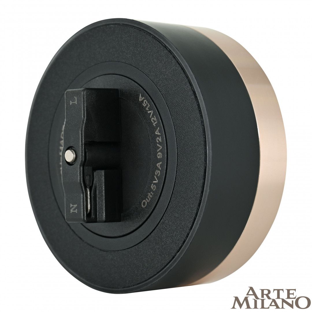 Трековая розетка Arte Milano Am-track-sockets 380066TS LED/USB-Type-C Gold